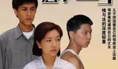 悲情母亲电视剧,悲情母亲的爱与牺牲